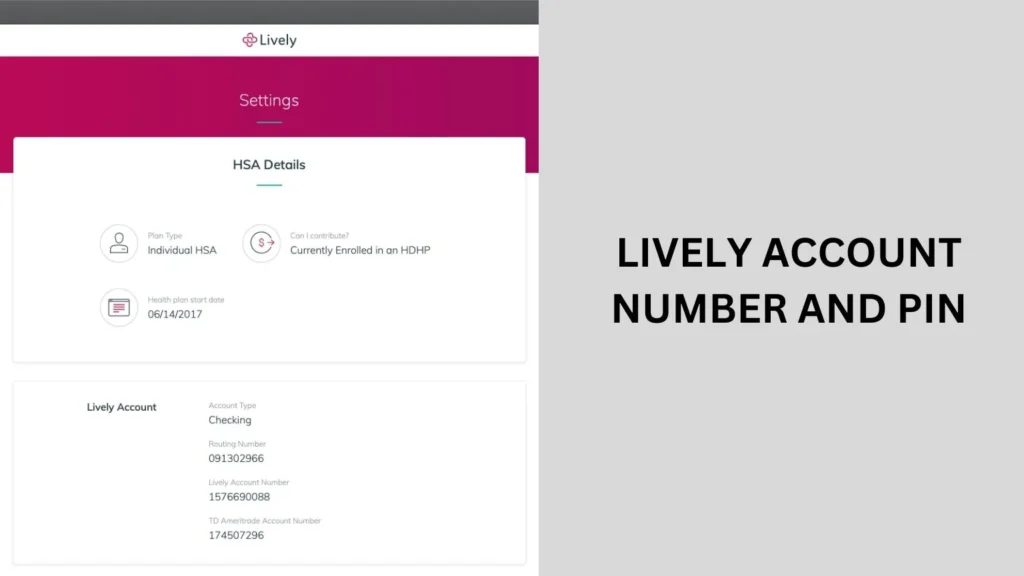 lively account number and pin