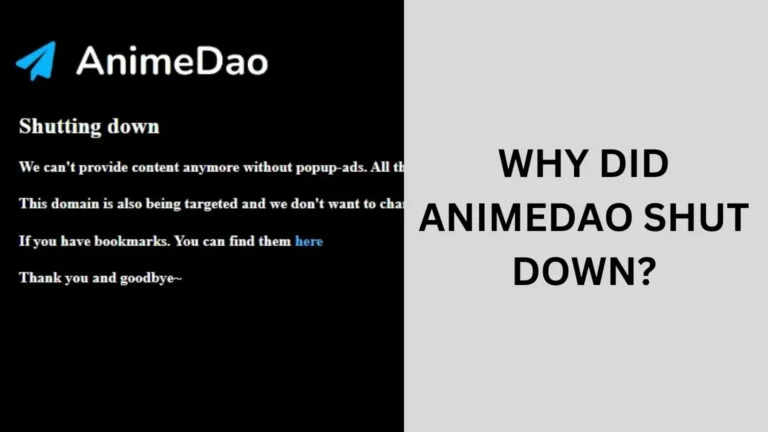 Why Did AnimeDao Shut Down